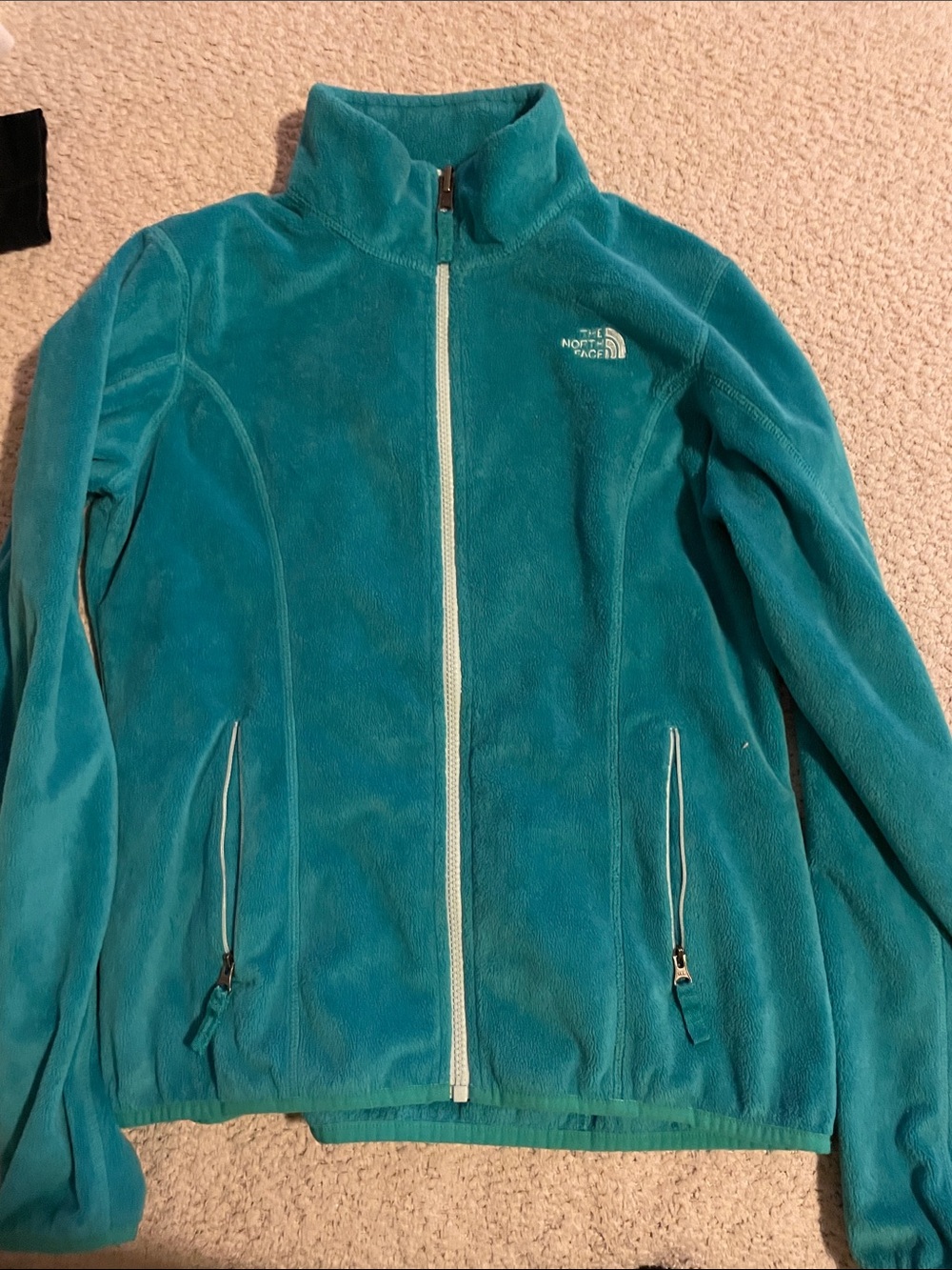 The North Face Teal Full-Zip Teddy Fleece Jacket